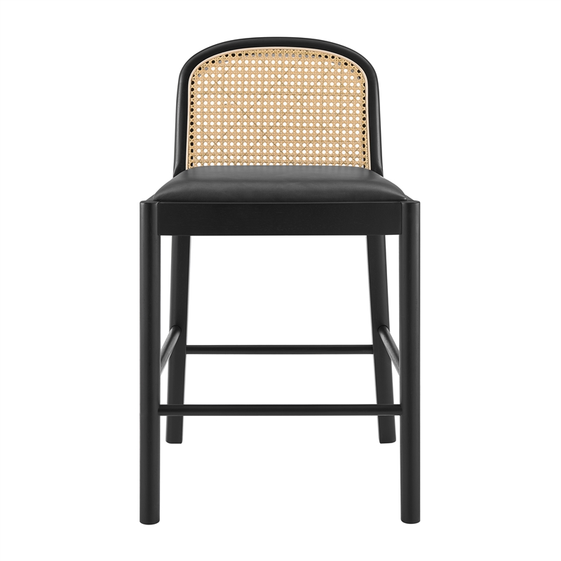 NPD Furniture Donna Faux Leather Rattan Counter Stool in Black (Set of 2)