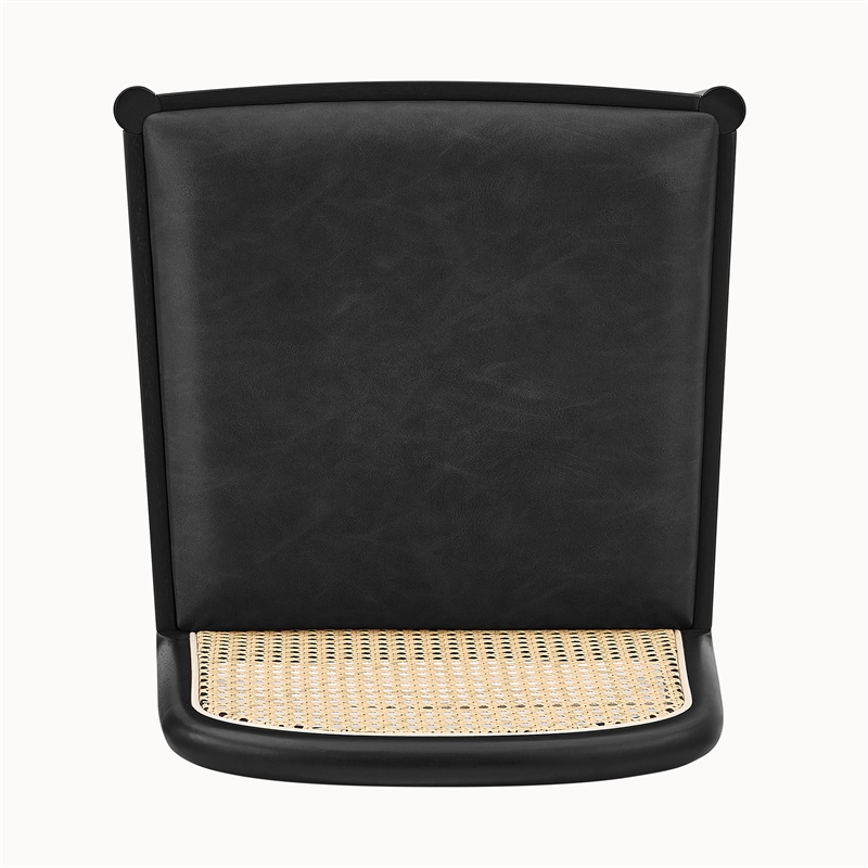 NPD Furniture Donna Faux Leather Rattan Counter Stool in Black (Set of 2)