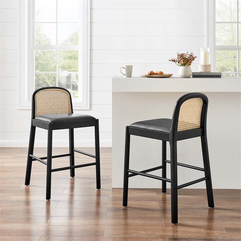 NPD Furniture Donna Faux Leather Rattan Counter Stool in Black (Set of 2)