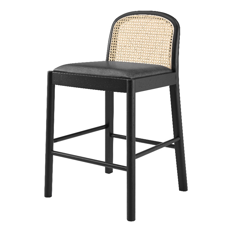 NPD Furniture Donna Faux Leather Rattan Counter Stool in Black (Set of 2)