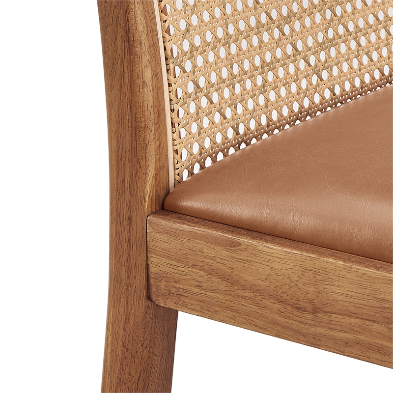 NPD Furniture Donna Faux Leather Rattan Counter Stool in Brown (Set of 2)