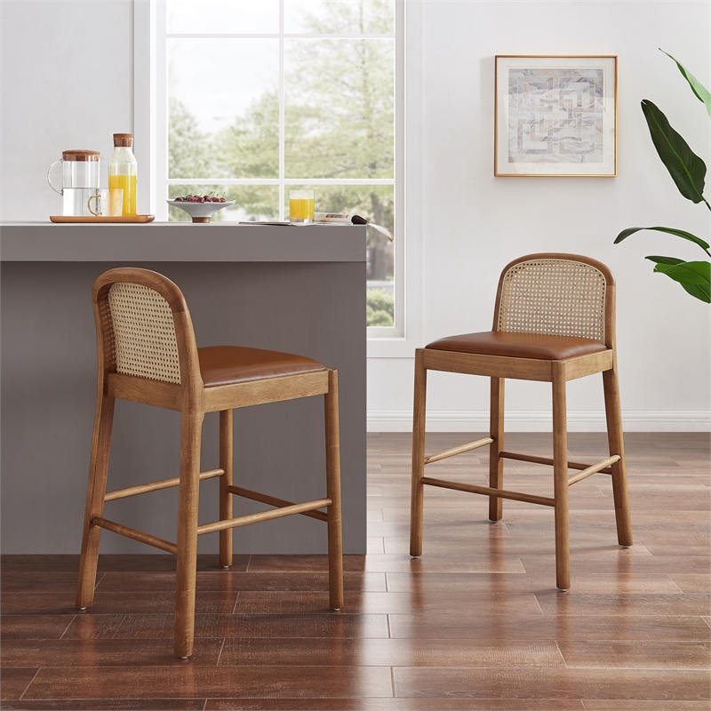 NPD Furniture Donna Faux Leather Rattan Counter Stool in Brown (Set of 2)