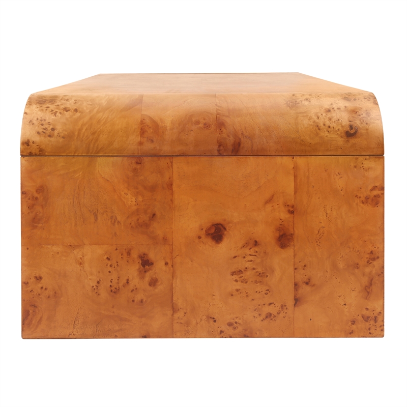 NPD Furniture Adriel Burl Wood Coffee Table in Golden Brown Burl
