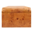 NPD Furniture Adriel Burl Wood Coffee Table in Golden Brown Burl