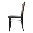 NPD Furniture Sonora Rattan Dining Side Chair Wood Seat (Set of 2)