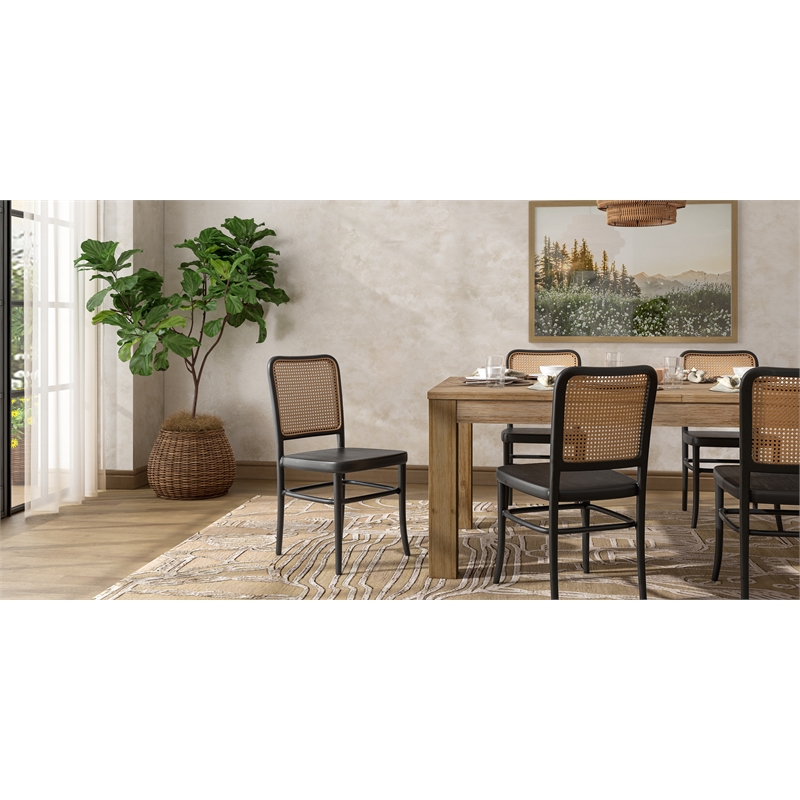 NPD Furniture Sonora Rattan Dining Side Chair Wood Seat (Set of 2)