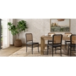 NPD Furniture Sonora Rattan Dining Side Chair Wood Seat (Set of 2)
