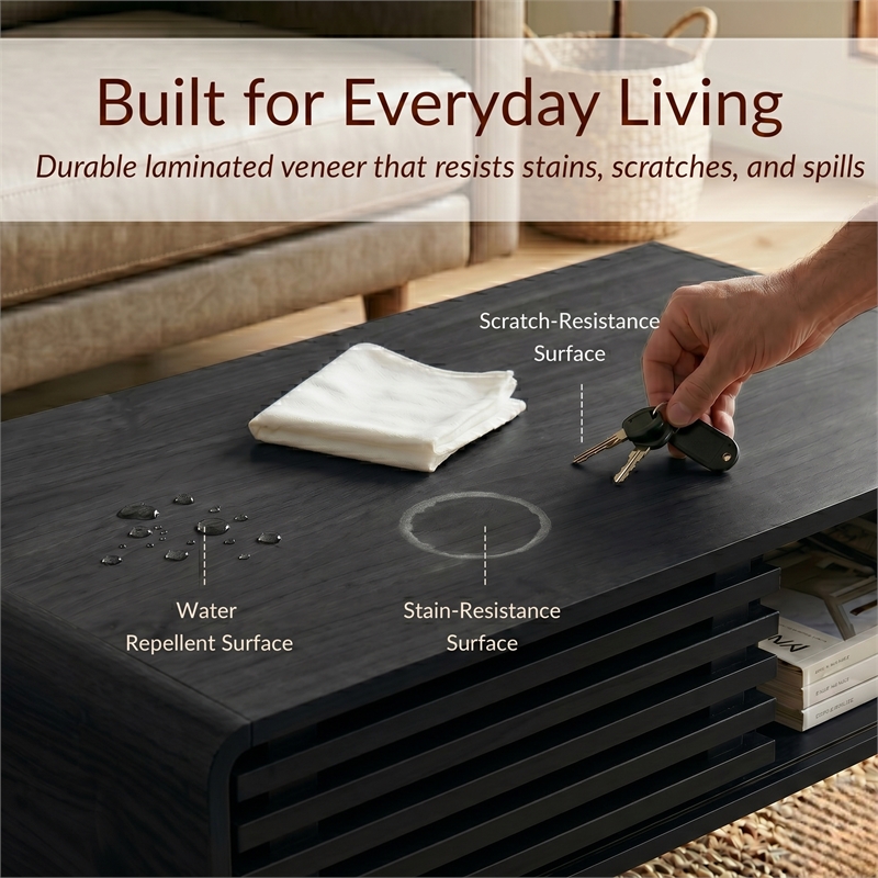 NPD Furniture Wilson Slat Coffee Table in Black