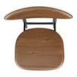 NPD Furniture Maglio Dining Side Chair in Black/Walnut Set of 2