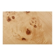 NPD Furniture Malva Burl Wood Side/End Table in Natural Burl
