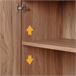 NPD Furniture Larson Cabinet 2 Doors in Terra Oak