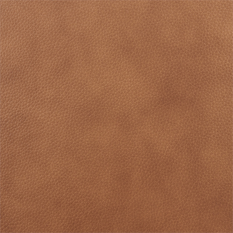 NPD Furniture Grandora Top Grain Leather Accent Arm Chair in Brown