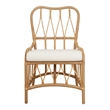 NPD Furniture Ayanna Rattan Dining Side Chair in Natural Wheat