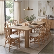 NPD Furniture - Eira Rattan Dining Side Chair - White - Natural Wheat Rattan
