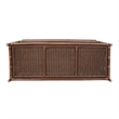 NPD Furniture - Sorea Console - Cane Brown Rattan Base - Wood Top
