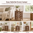 NPD Furniture - Kano Accent Table - Cane Brown Rattan Base - Wood Top