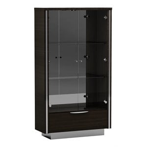 Titan Furnishings Modern Lacquer Wood Vetrine Curio Cabinet in Black Wenge