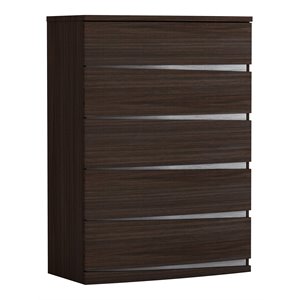 Titan Furnishings Grand Modern Lacquer Wood Chest in Black Wenge