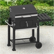Outdoor Leisure Products  CHARCOAL Grill