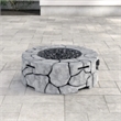 Living Source International 31