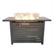 Living Source International Metal Propane and Natural Gas Fire Pit Table in Gray