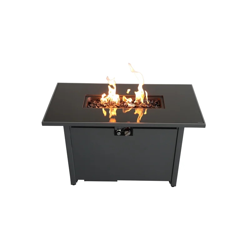 Living Source 25'' H x 42'' W Steel Outdoor Fire Pit Table with Lid