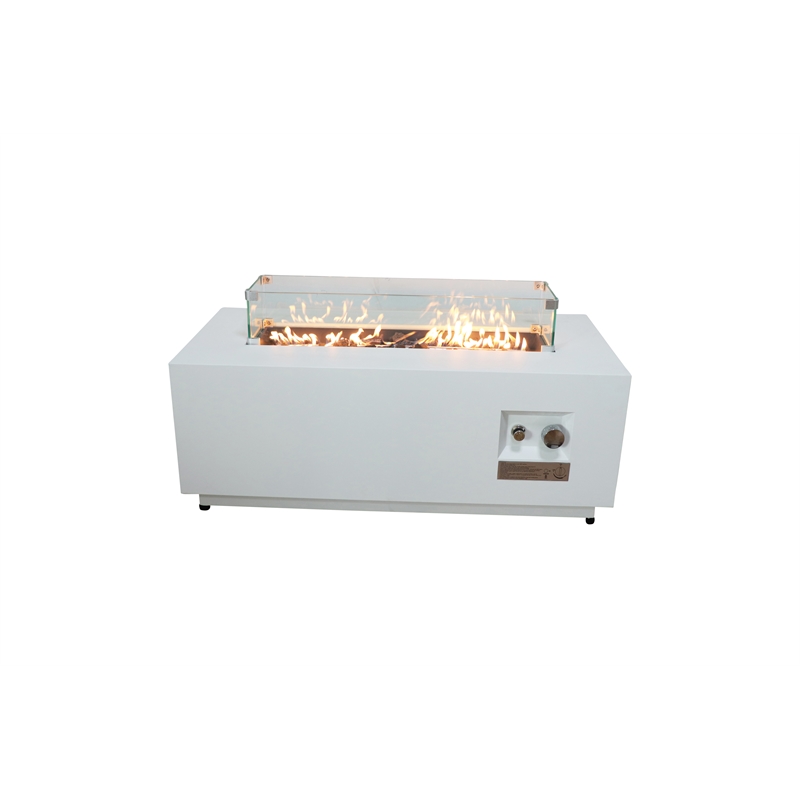 Living Source 16'' H x 42'' W Steel Outdoor Fire Pit Table with Lid