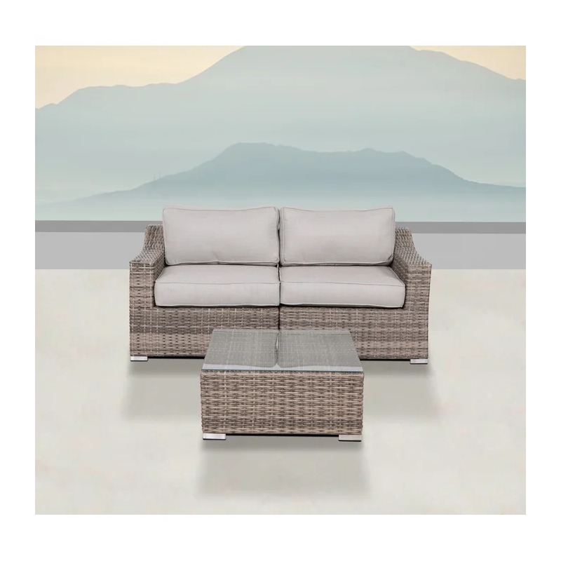 Living Source International 2-Person Wicker / Rattan Seating Group in Gray