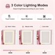 Pink MDF LED Vanity Mirror Dressing Table with Stool & Storage Cabinets
