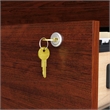 UrbanPro Engineered Wood Lateral Filing Cabinet in Classic Cherry
