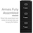 UrbanPro Metal Black Filing Cabinet Vertical Pre-Assembled 40.19