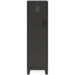 UrbanPro Metal Black Storage Locker Cabinet Rectangular Hinged Door 52.63