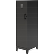 UrbanPro Metal Black Storage Locker Cabinet Rectangular Hinged Door 52.63