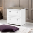 UrbanPro Engineered Wood White and Gray File Cabinet Rectangular 30W x 20D x 30H Unassembled
