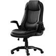 UrbanPro Office Chair Swivel Ergonomic Armrests Computer Desk Work Metal Black