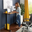 UrbanPro Electric Height Adjustable Standing Desk Light Brown