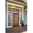 Kosas Home 24x36