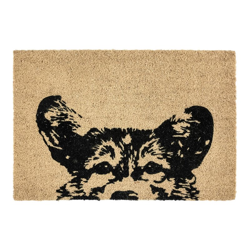 Kosas Home Sparky 24x36
