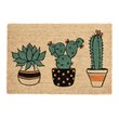 Kosas Home Arizona 24x36