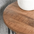 Kosas Home Chester Round Mango Wood and Iron End Table in Chestnut Brown