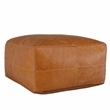Kosas Home Cheyenne 24x24