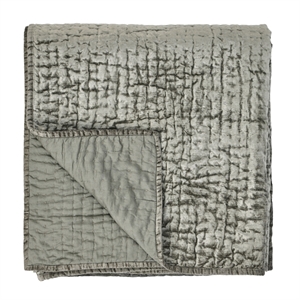 Kosas Home Dimitry 92&quot Velvet and Solid Cotton Sateen Queen Quilt in Sage Green