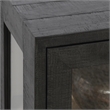 Classic Home Larson 2-Door Glass Reclaimed Pine Wood Cabinet in Black