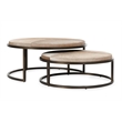 Classic Home Hayword Hide Set of 2 Metal Nesting Coffee Tables in Sparrow Gray