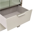 Michael Amini Roxbury Park Display Cabinet with LED Lighting - Slate Ash