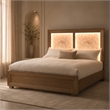 Portrait Queen Panel Bed with LED Lights - Sienna Brown