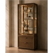 Portrait Display Cabinet with LED Lighting - Sienna Brown