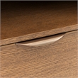 Portrait 1-Drawer Nightstand with LED Lights - Sienna Brown
