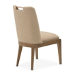 Portrait Dining Side Chair - Set of 2 - Toffee/Sienna Brown