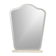 Camellia Field Vanity Mirror - Champagne